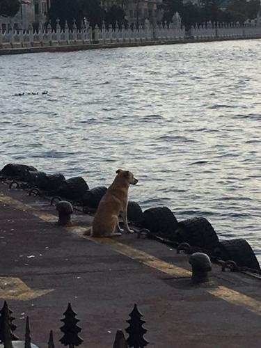 bir adım önde#fiora